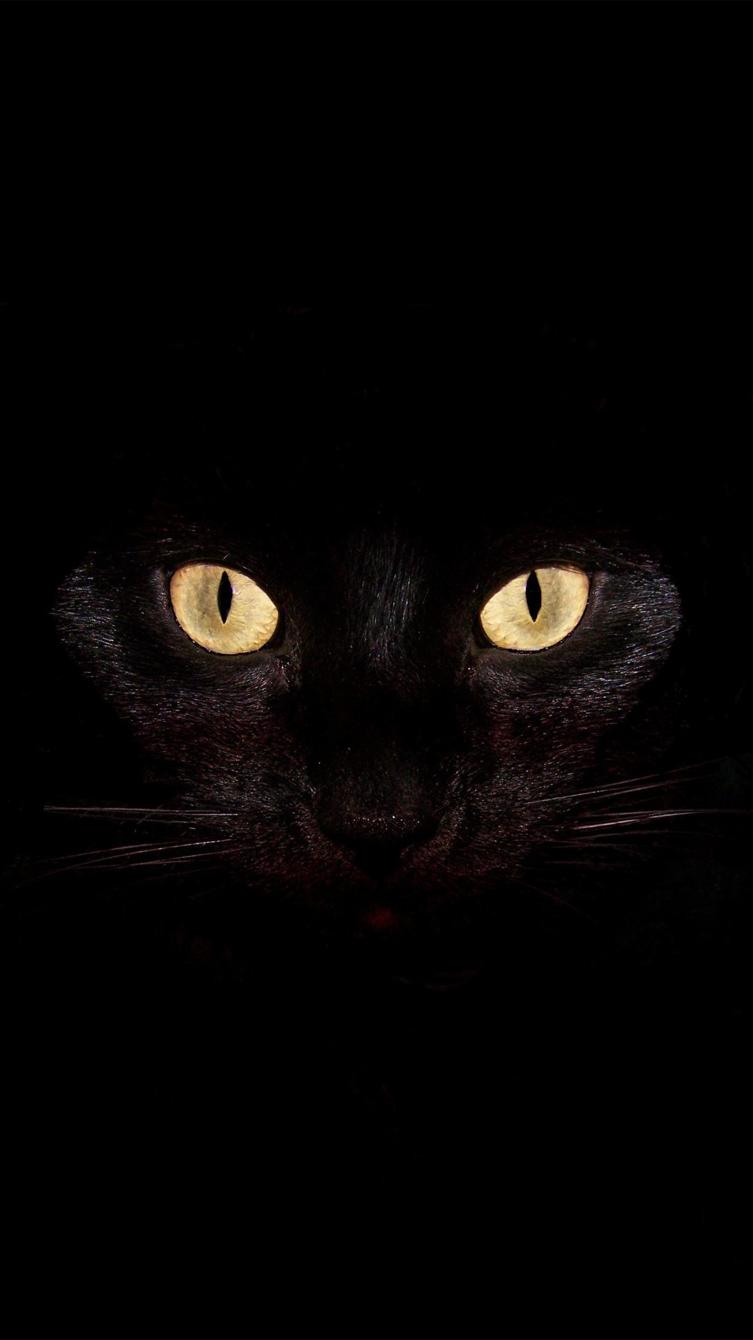 Scary Wallpaper For iPhone