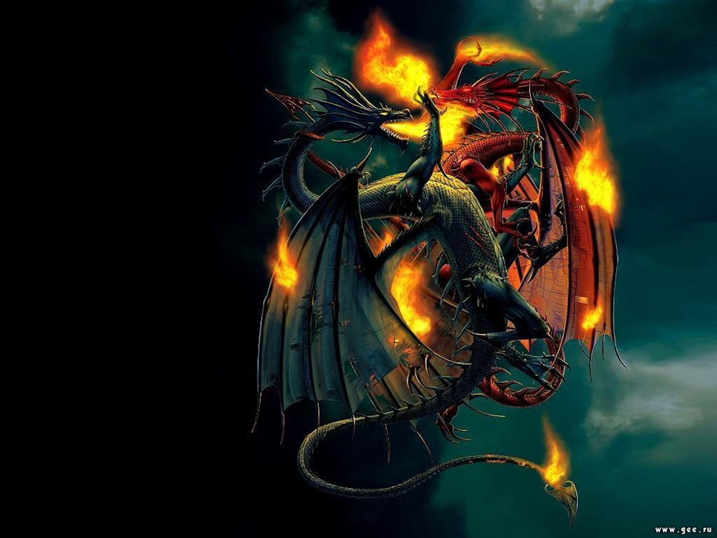 Dragon Fight Wallpaper Background