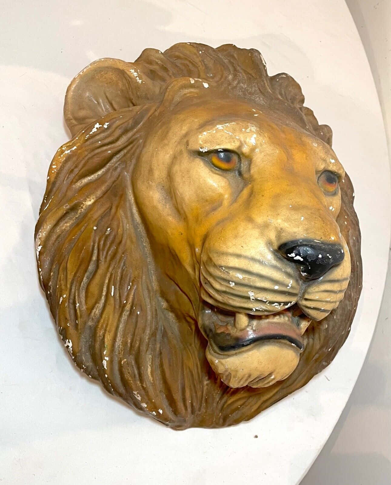 Lion Head Closeup Wallpaper