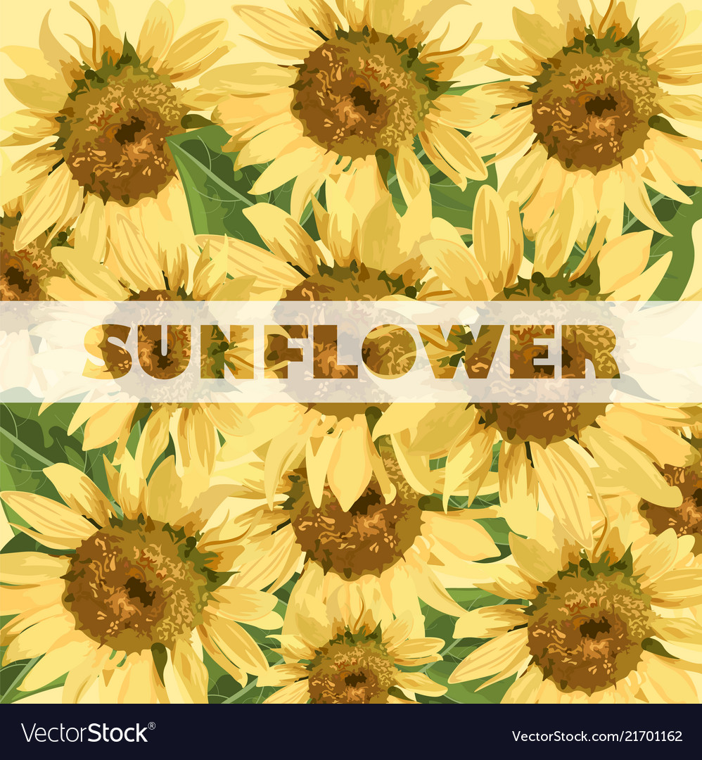 Sunflowers Pattern Summer Background Royalty Vector