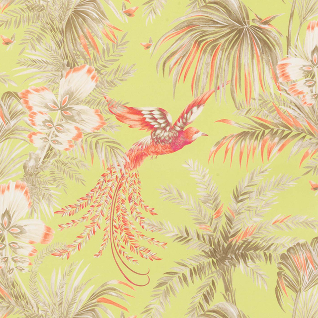 Bird Print Wallpaper