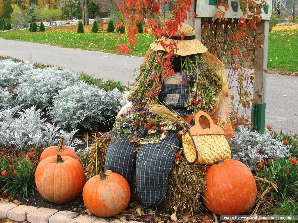Filename Fun Fall Scarecrow And Pumpkin Updated Size