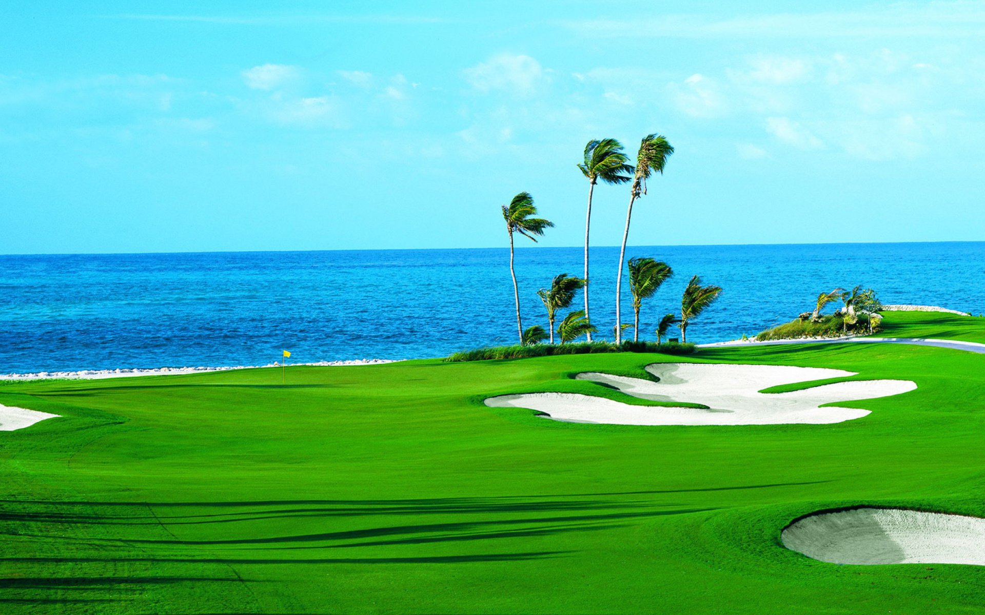 Palm Tree Horizon Ocean Blue Green Water Man Made Golf Course Wallpaper