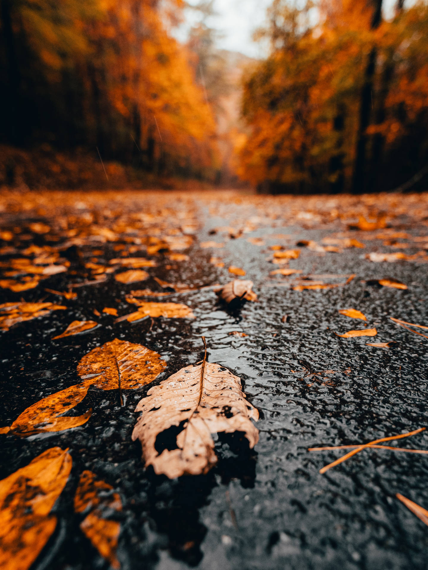 Raining Wallpaper