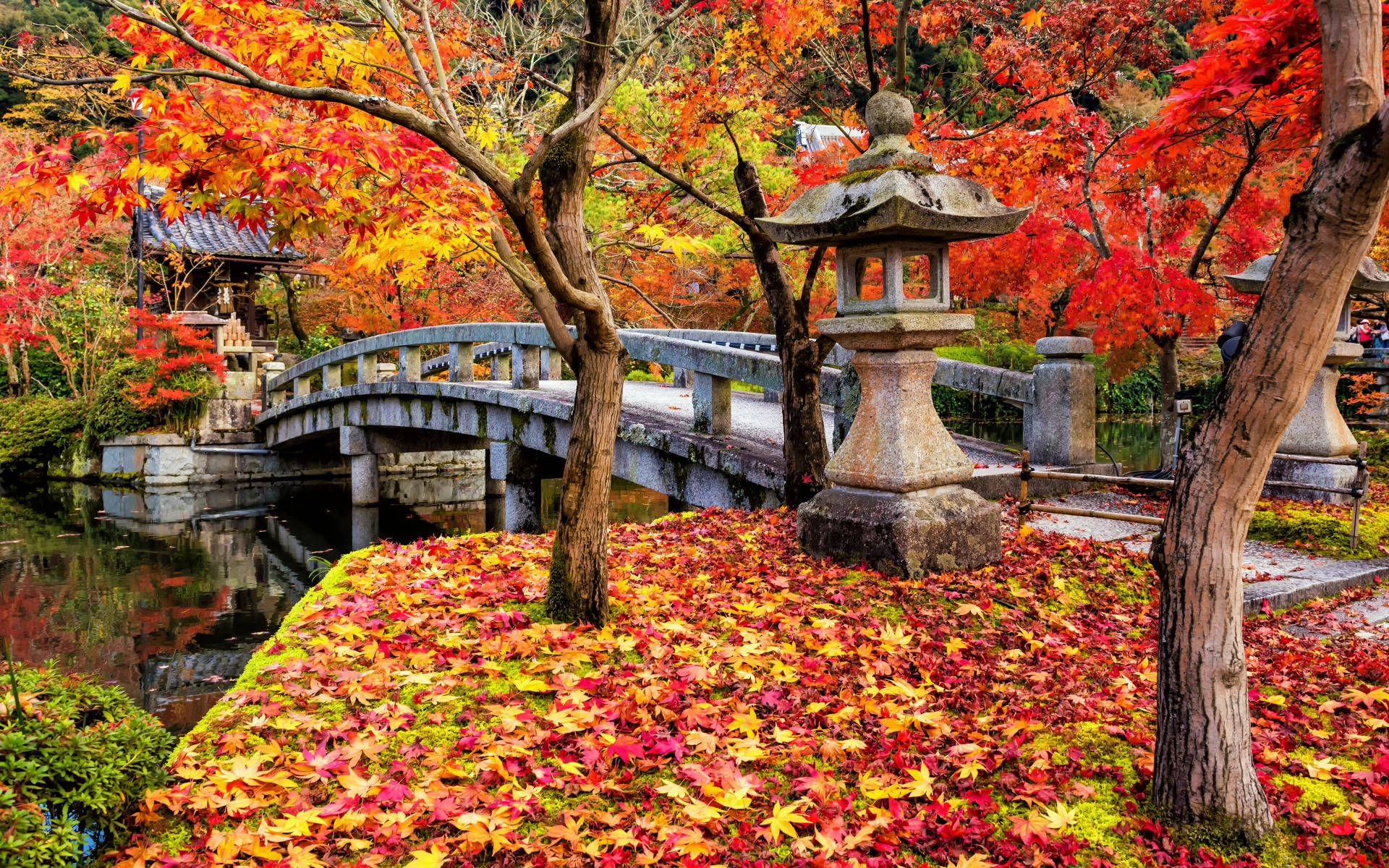 Autumn Bridge In Kyoto 4qcyqh4foz0cfv34 Wallpaper