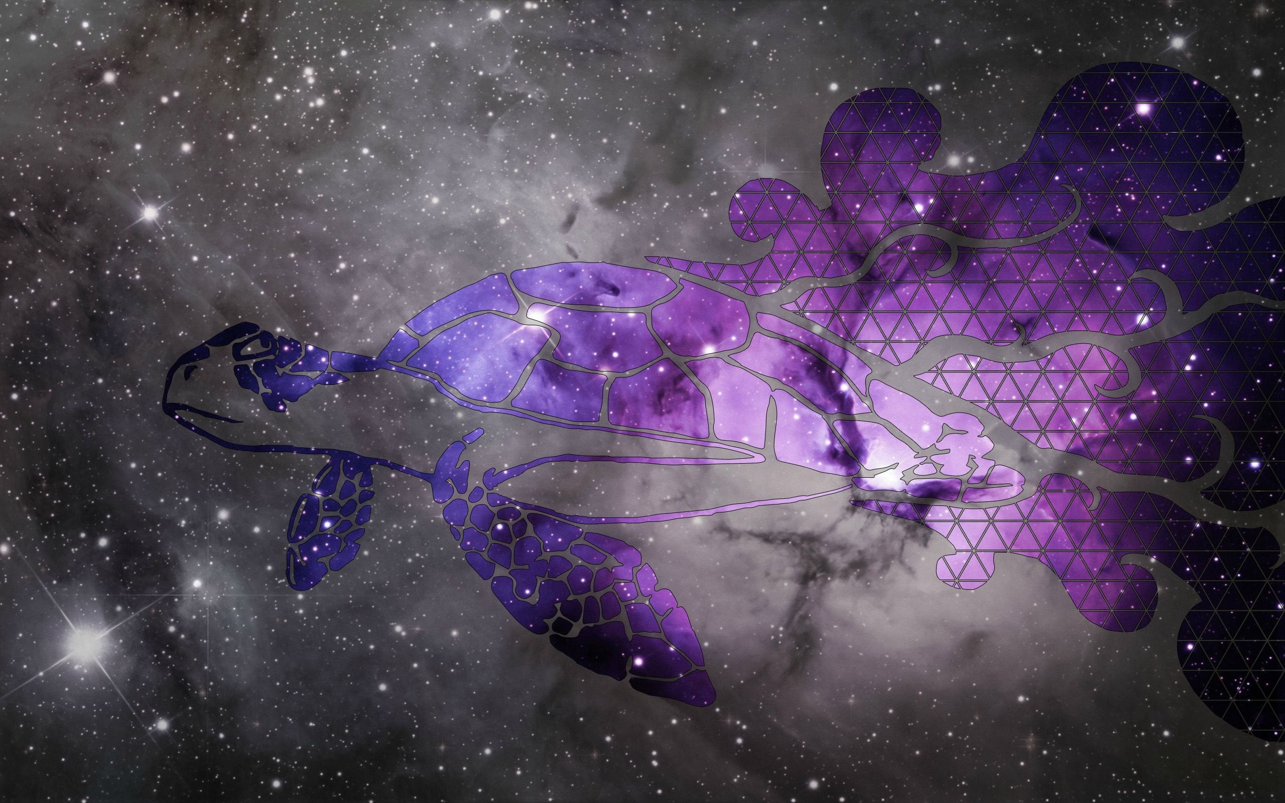 Purple Space Turtle Wallpaper R Imaginaryturtleworlds