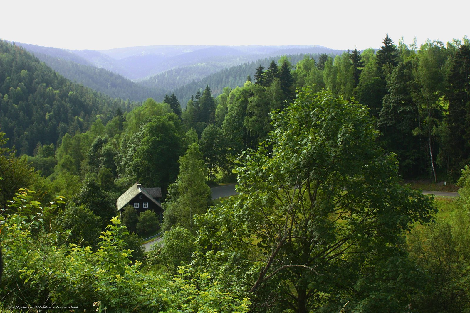 Wallpaper Summer Mountains Forest Czech Republic