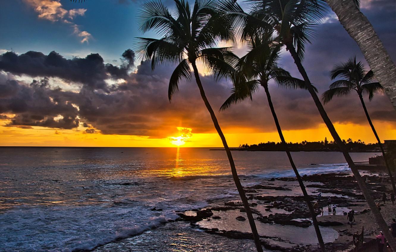 Wallpaper sunset palm trees the ocean coast Hawaii Pacific