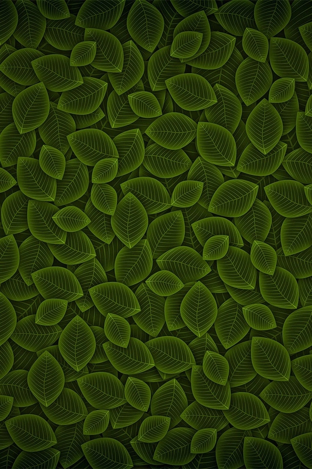 Cool Green Leaf iPhone Wallpaper HD