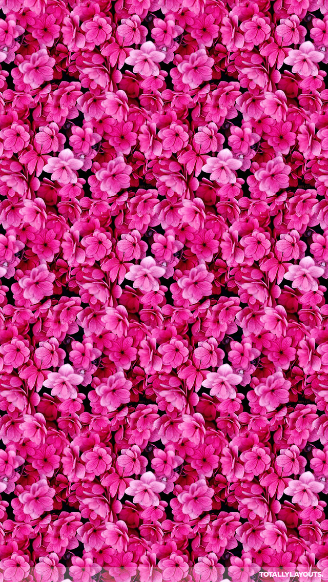 Bright Pink Flower Montage Whatsapp Wallpaper Floral