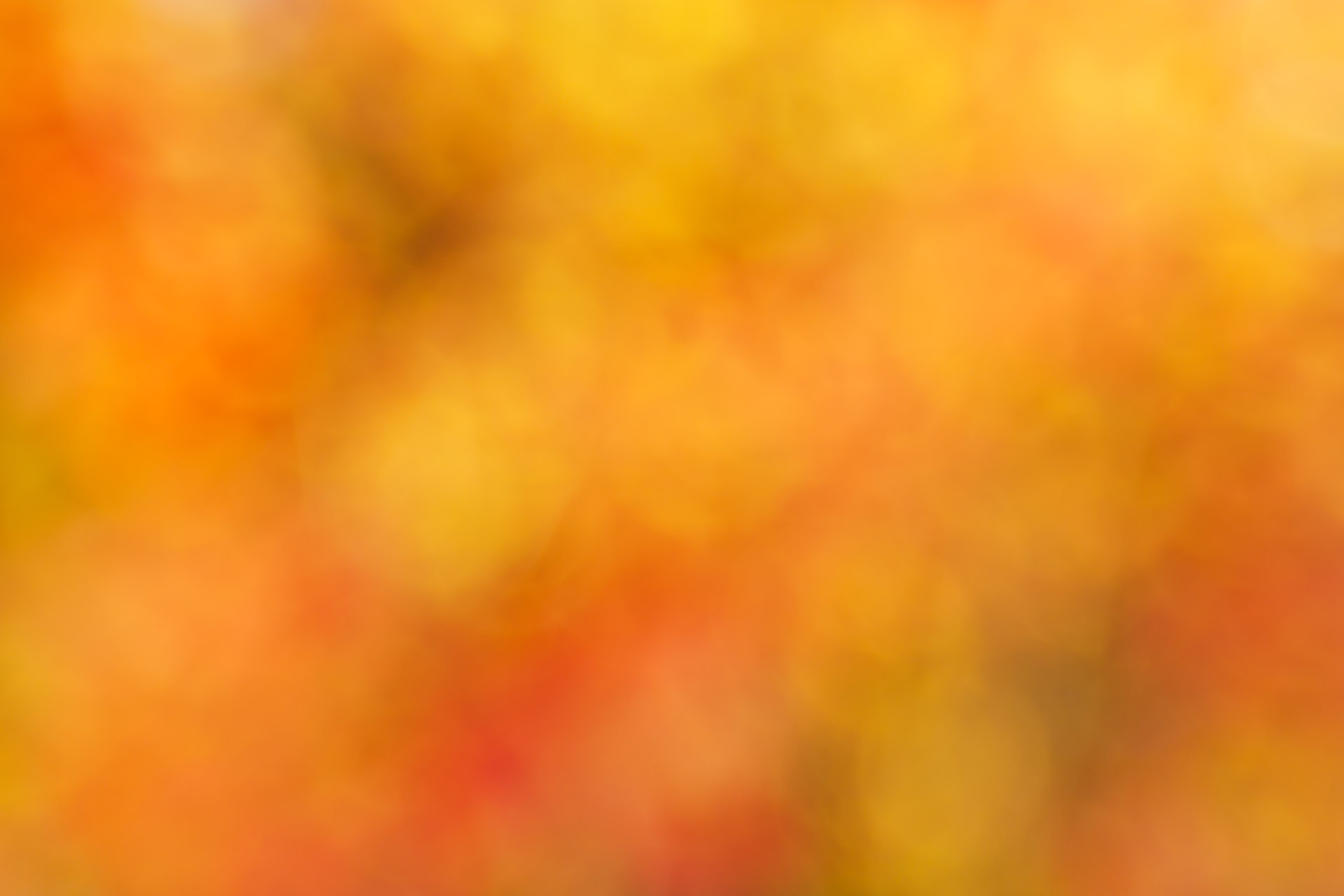 Orange Blurred Background Stock Photo HD Public Domain Pictures