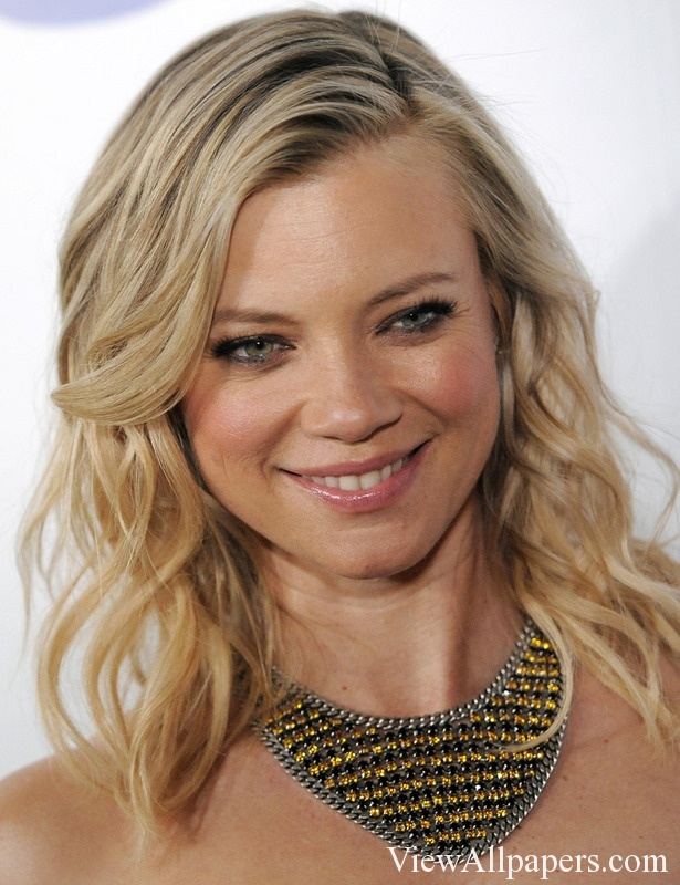 Amy Smart For Pc Puters Desktop Background Smartphones And
