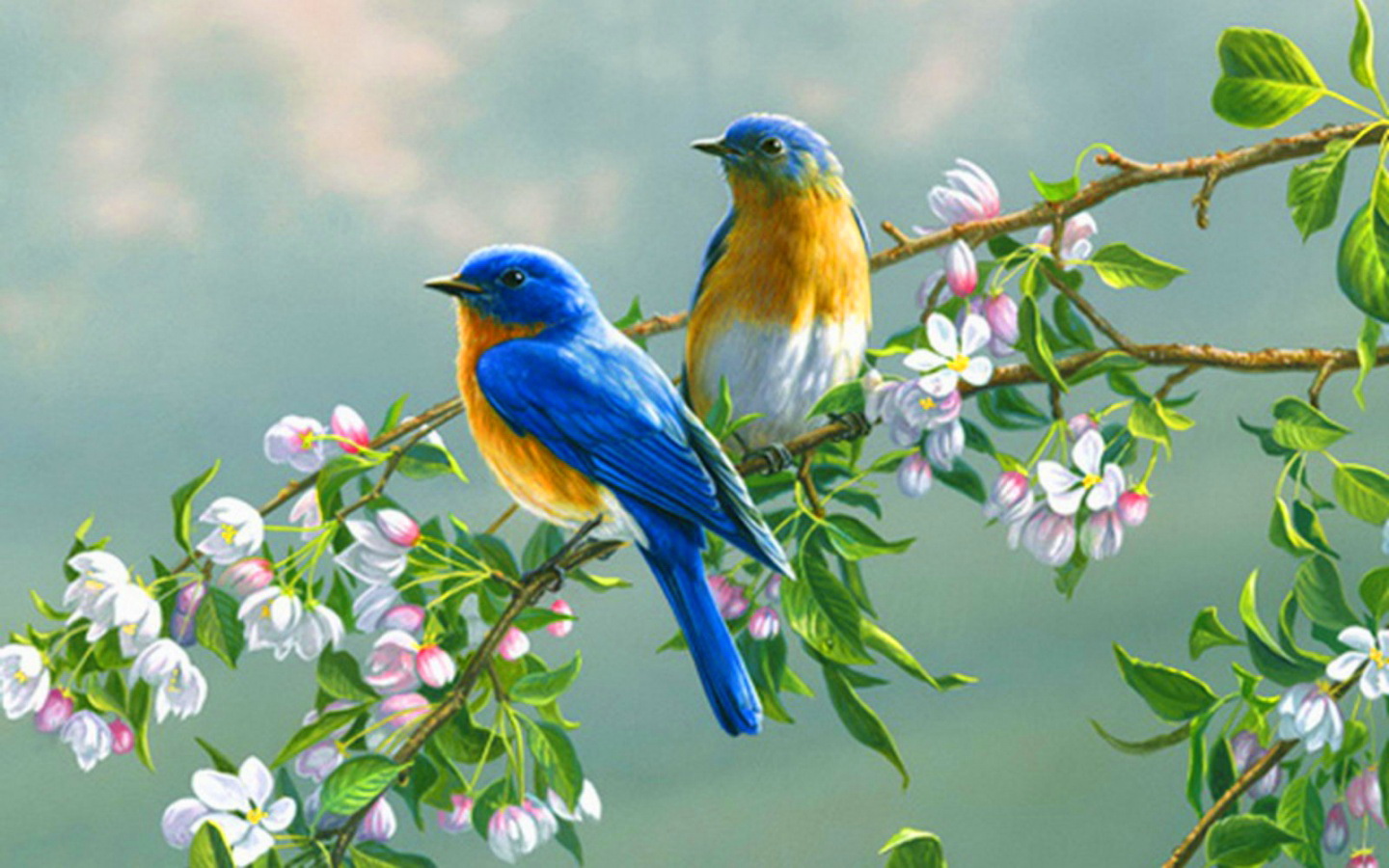 Cute Birds On Spring Branch Wallpaper