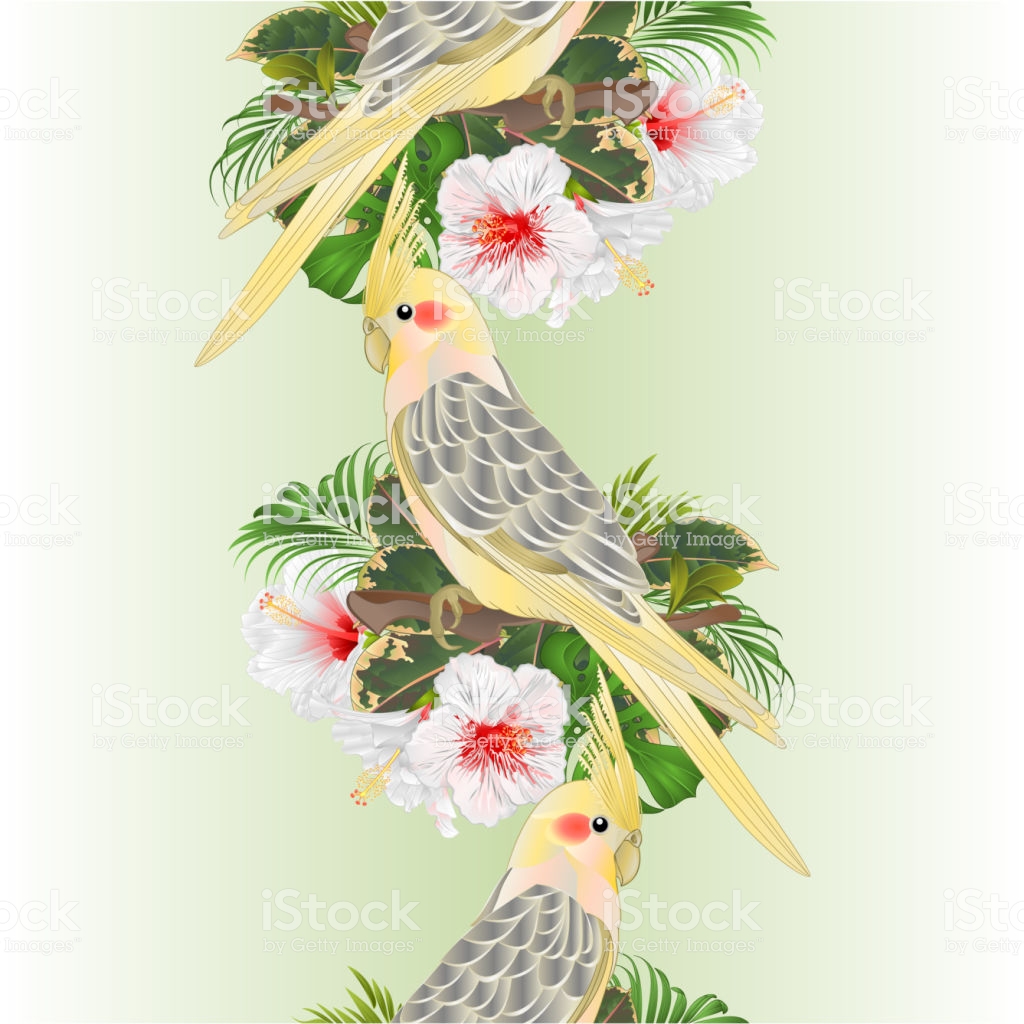Vertical Border Seamless Background Funny Parrot Yellow Cockatiel