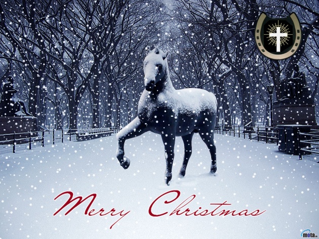 Wallpaper Horse In Snow Photo Pictures