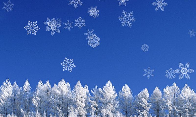 Description The Pure White Snow Beautiful Different Snowflakes