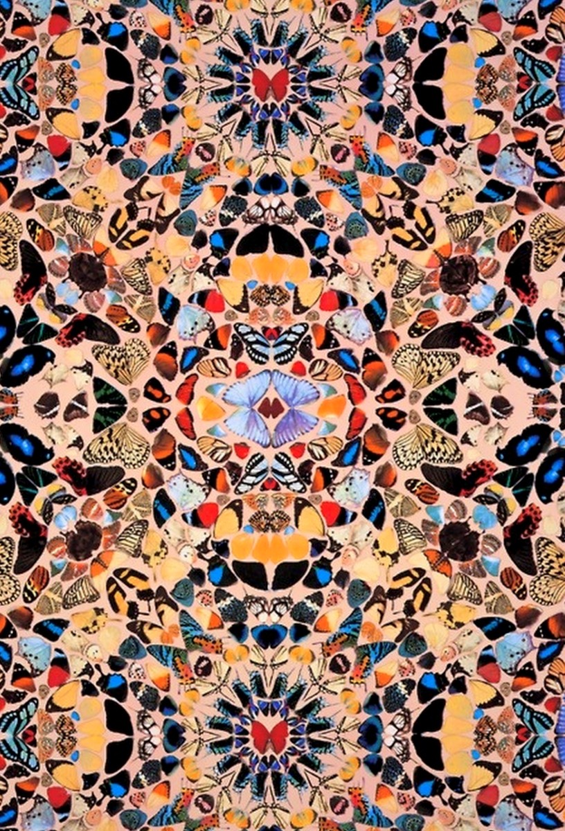 Bird Wallpaper Are Coming In Some Cool Retro Style Prints Too