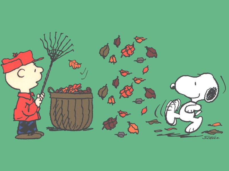 Charlie Brown And Snoopy Raking Leaves