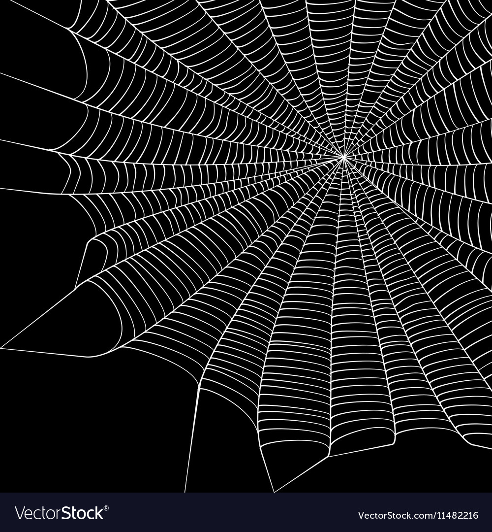 Free download Cobweb Background Royalty Free Vector Image VectorStock ...