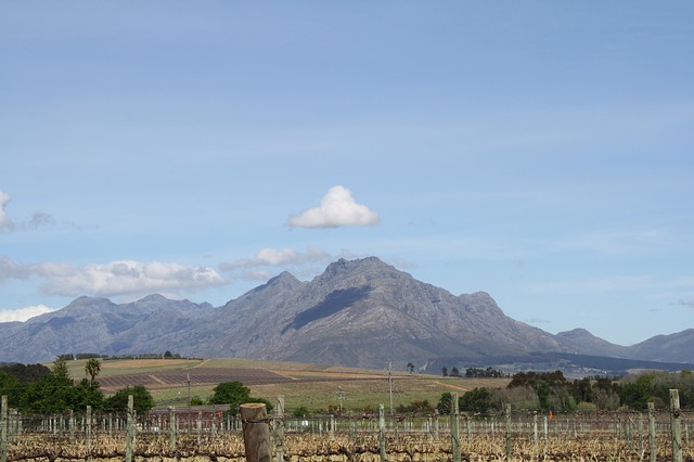 Cloud Shadow Mountain Cape Town Vineyard