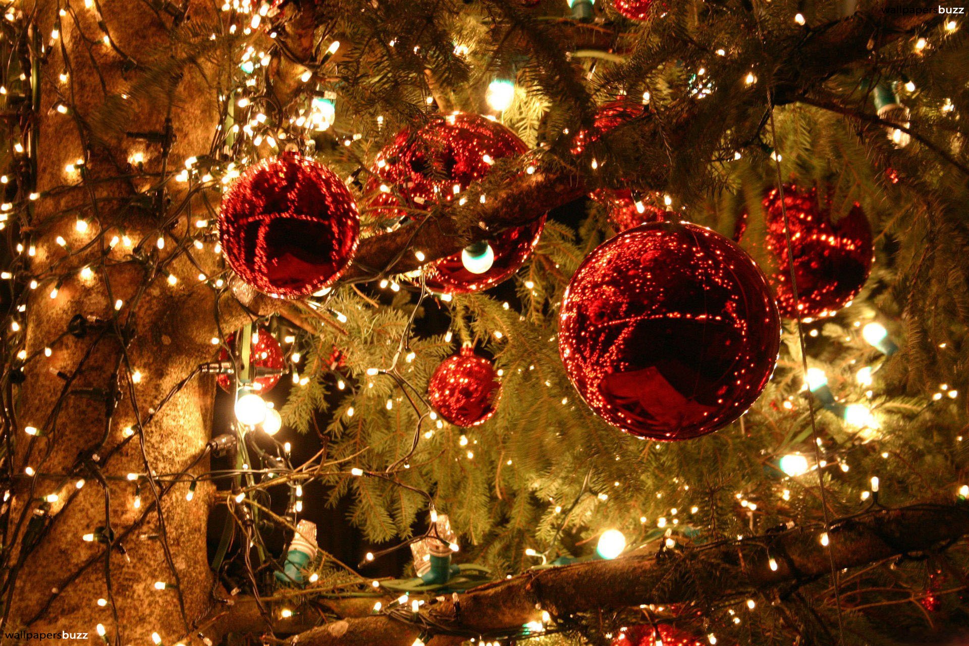 Bright Christmas lights HD Wallpaper