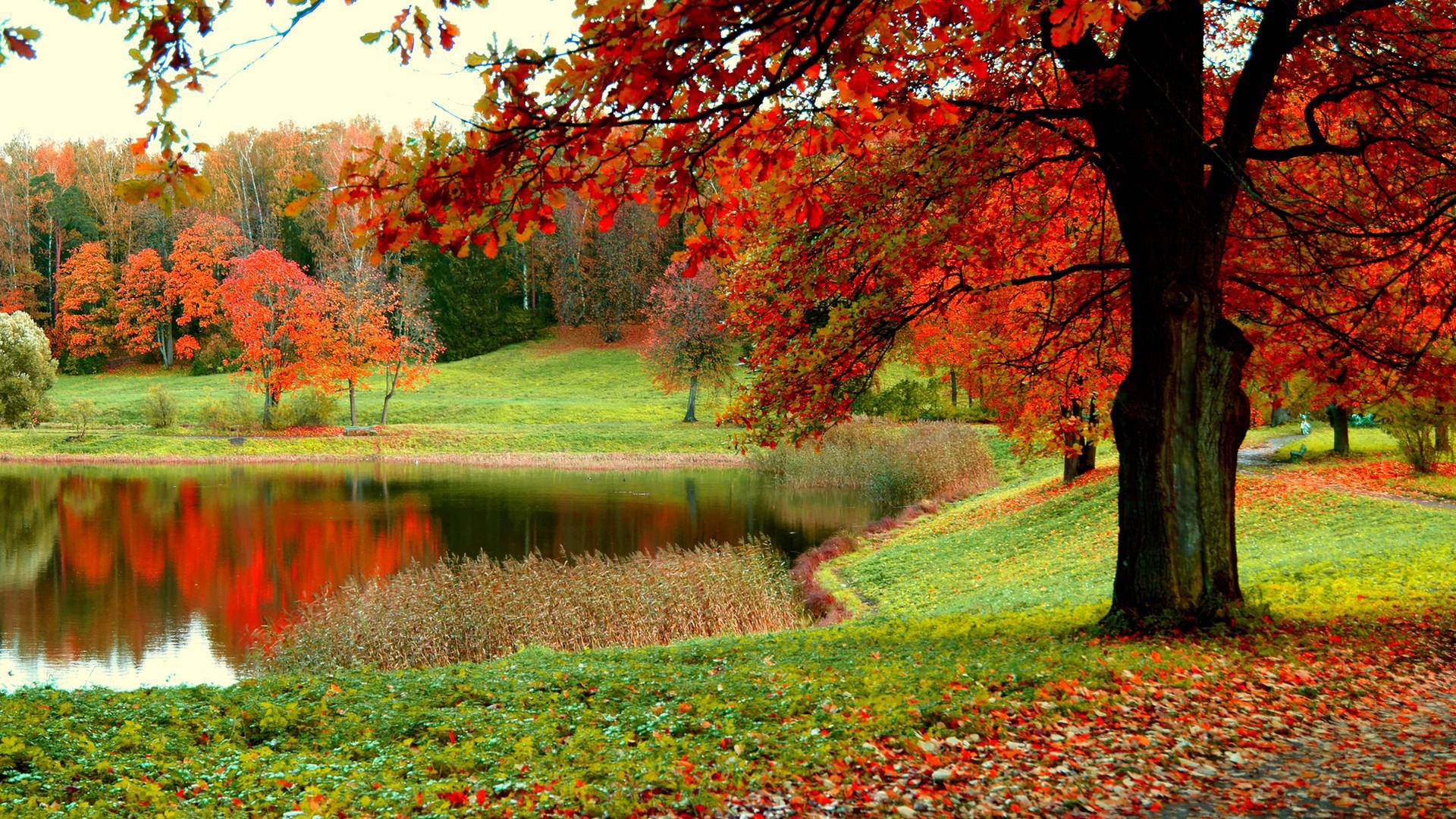 Autumn Wallpaper Widescreen