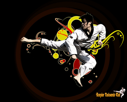 Scorpion Taekwondo Wallpaper Explore Kun2 Photos On Fli
