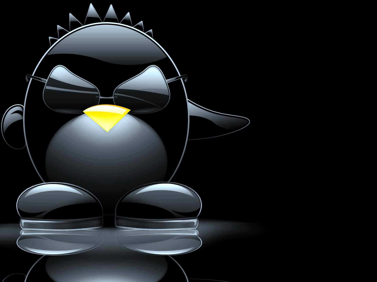 Funny Linux Wallpaper First HD