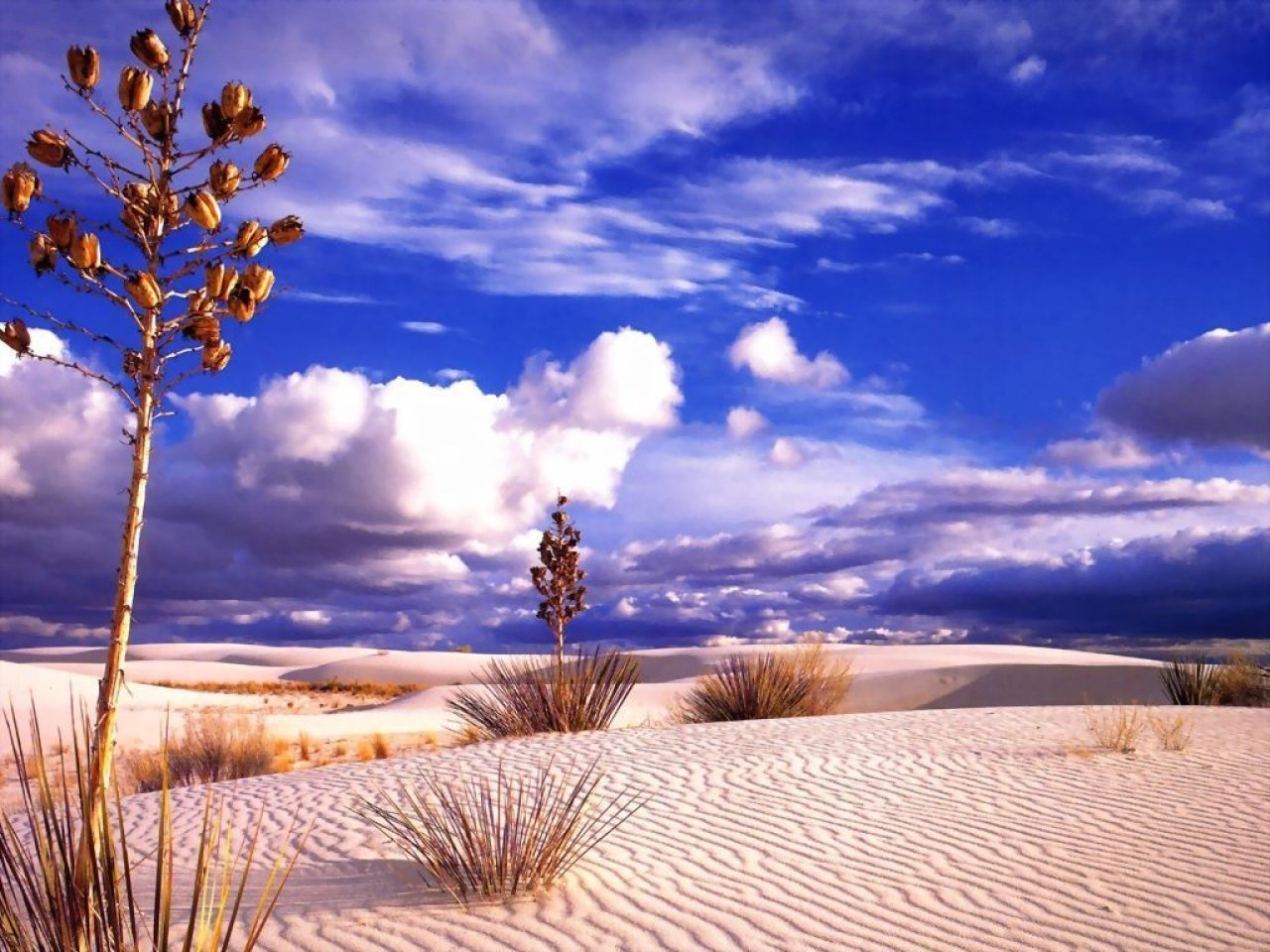 Desert Sky Free Landscapes computer desktop wallpaper