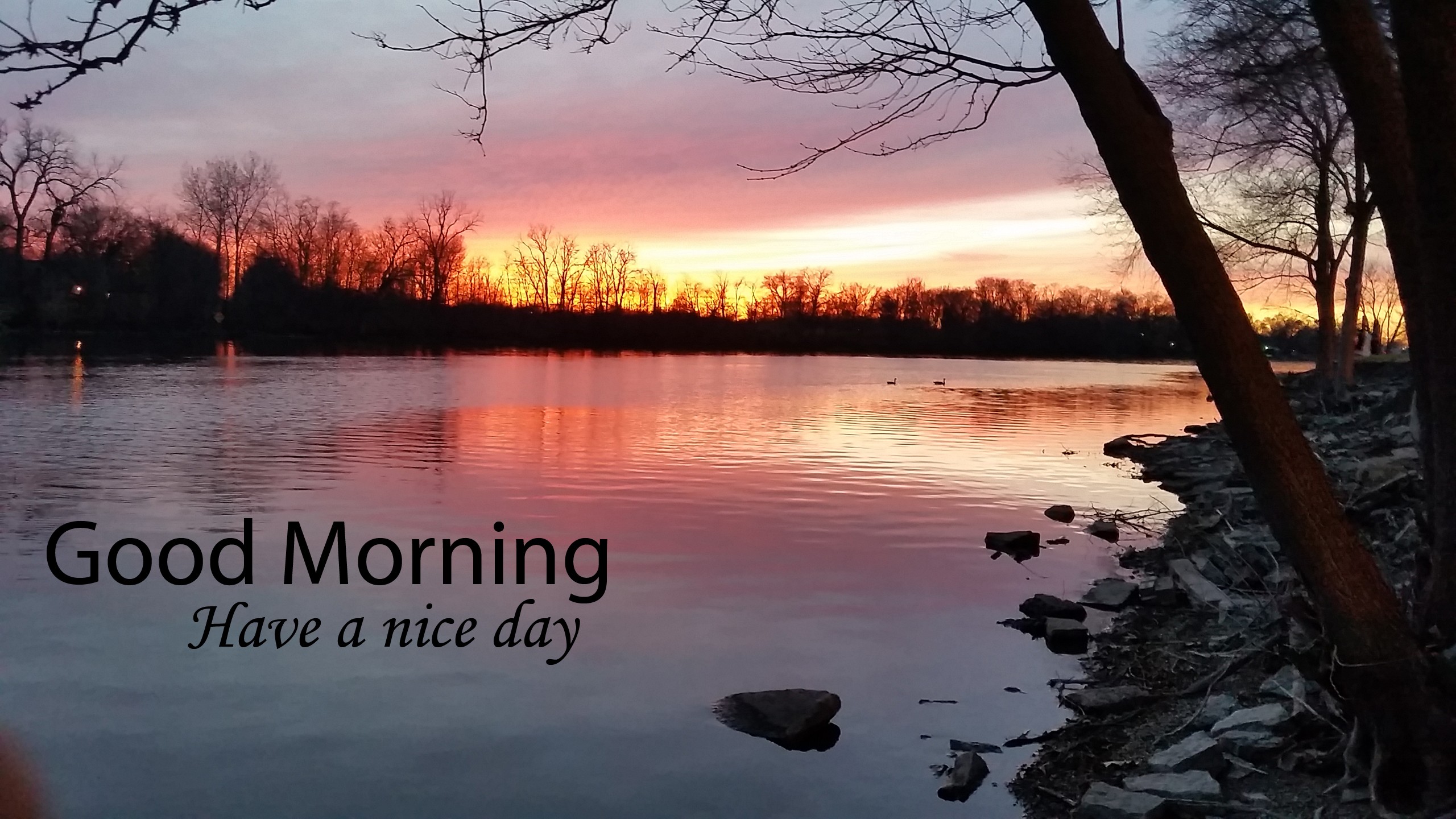 Beautiful Sunrise In Lake Good Morning Wallpaper New HD