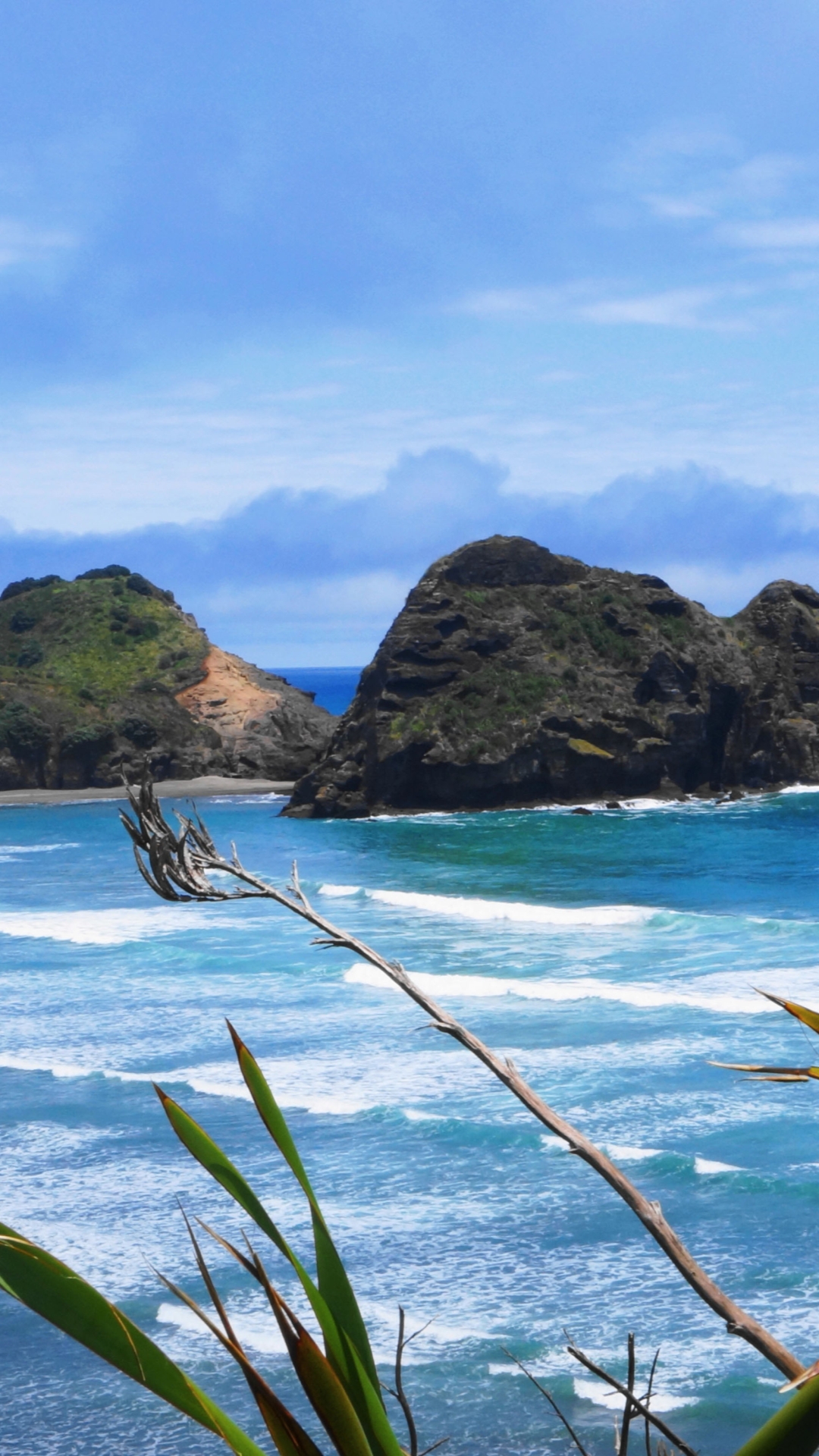 New Zealand Beaches Nature Beach Iphone 6 Plus Wallpaper