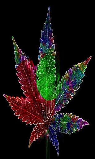 Cool Weed Wallpaper Weed hd wallpaper app for