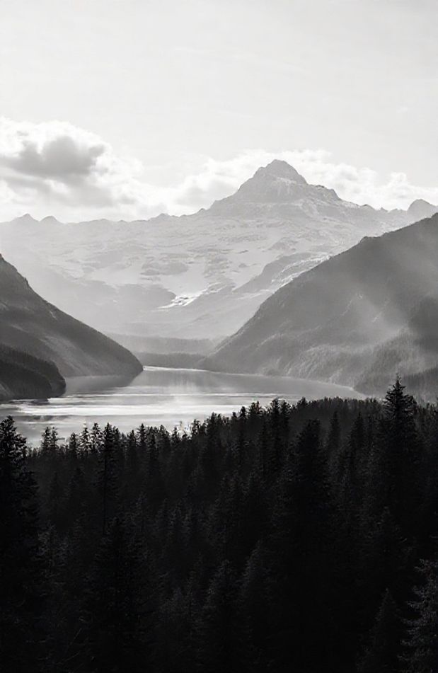 Black And White Hd Wallpaper