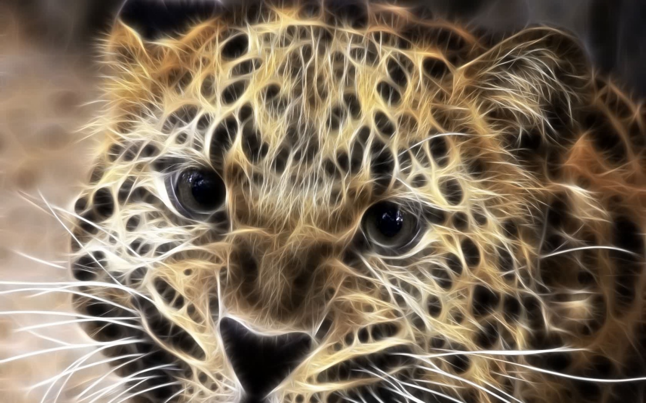 The Snow Leopard Wallpaper For iPad Imagebank Biz