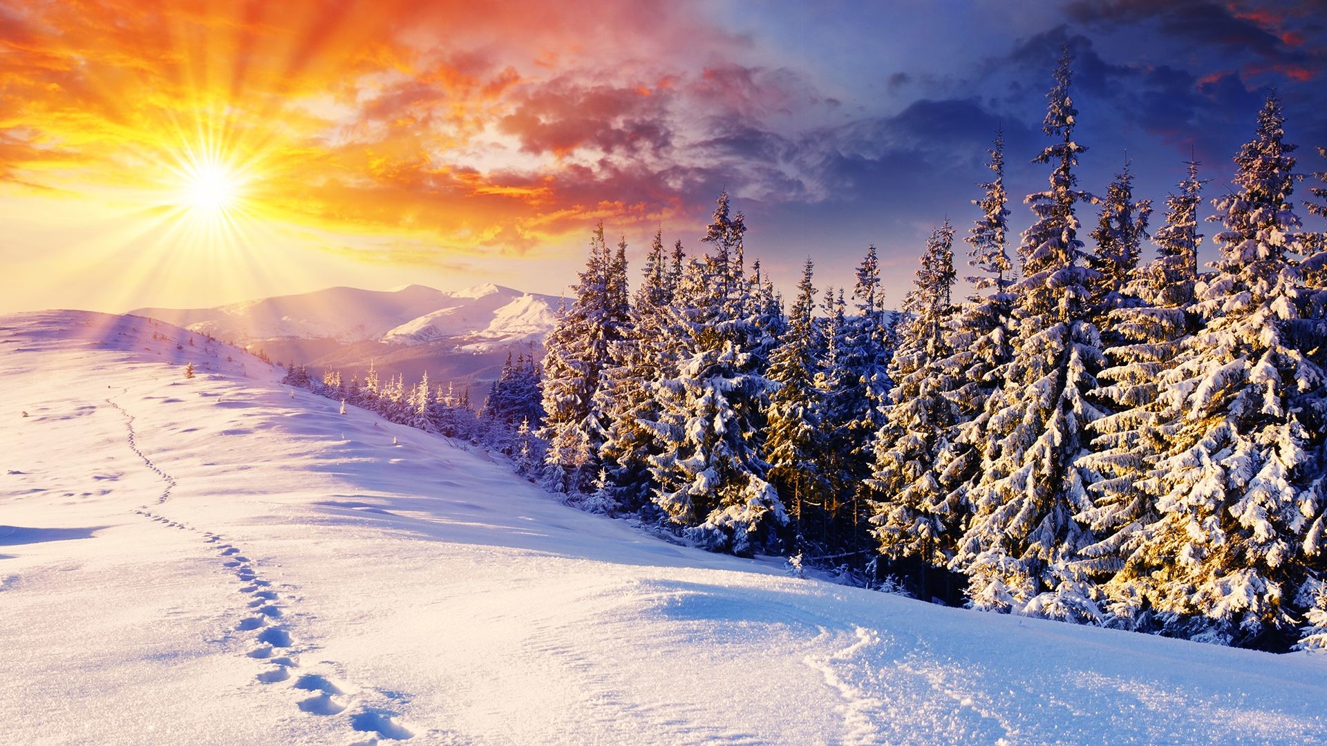 Winter Wallpaper For Pc Image
