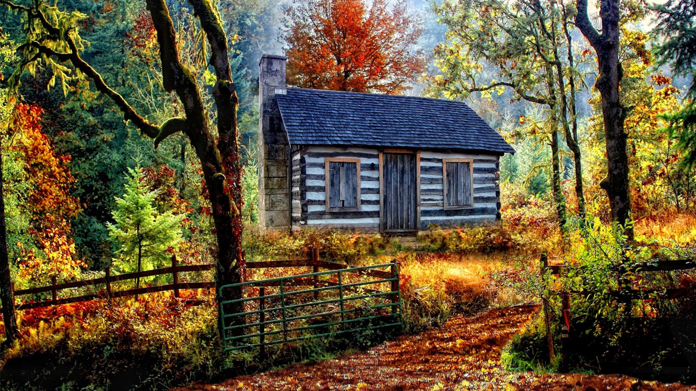 Cabin In The Woods Wallpaper And Background Image