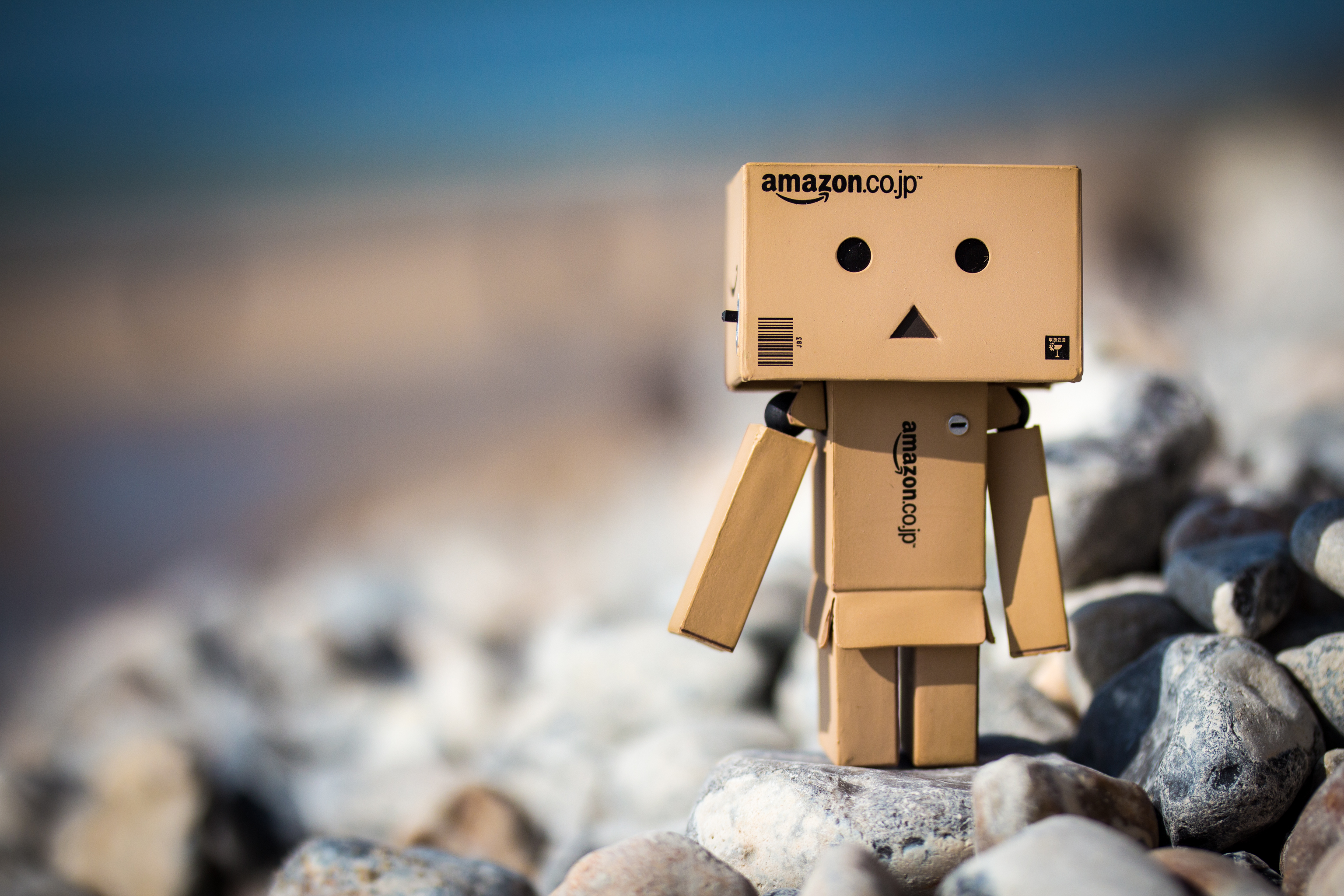 Danbo Wallpaper Pictures Image