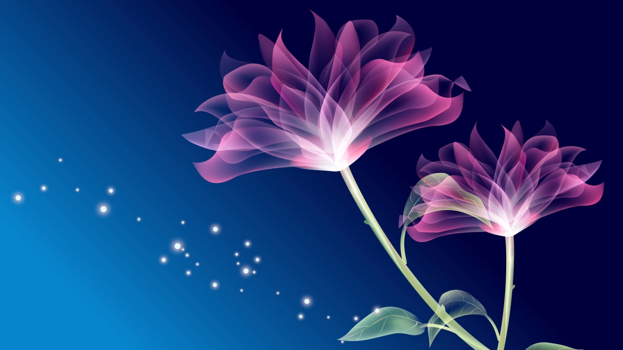 Cool Abstract Flowers HD Desktop Wallpaper Widescreen Background For