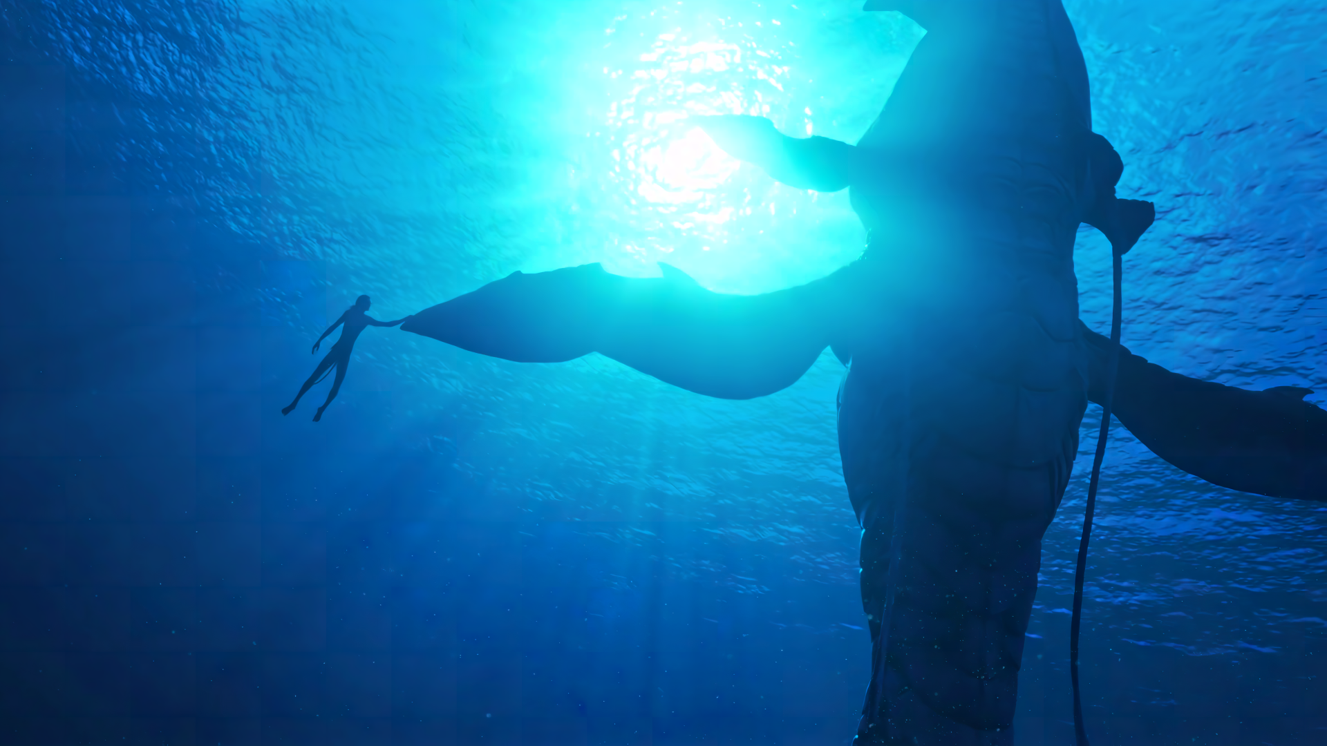 🔥 Free Download Avatar The Way Of Water Wallpaper by @thomaswright ...