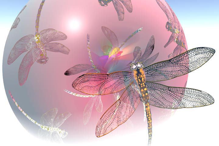 animated fairy wallpaper fairy wallpapers and fairy backgrounds 29 of