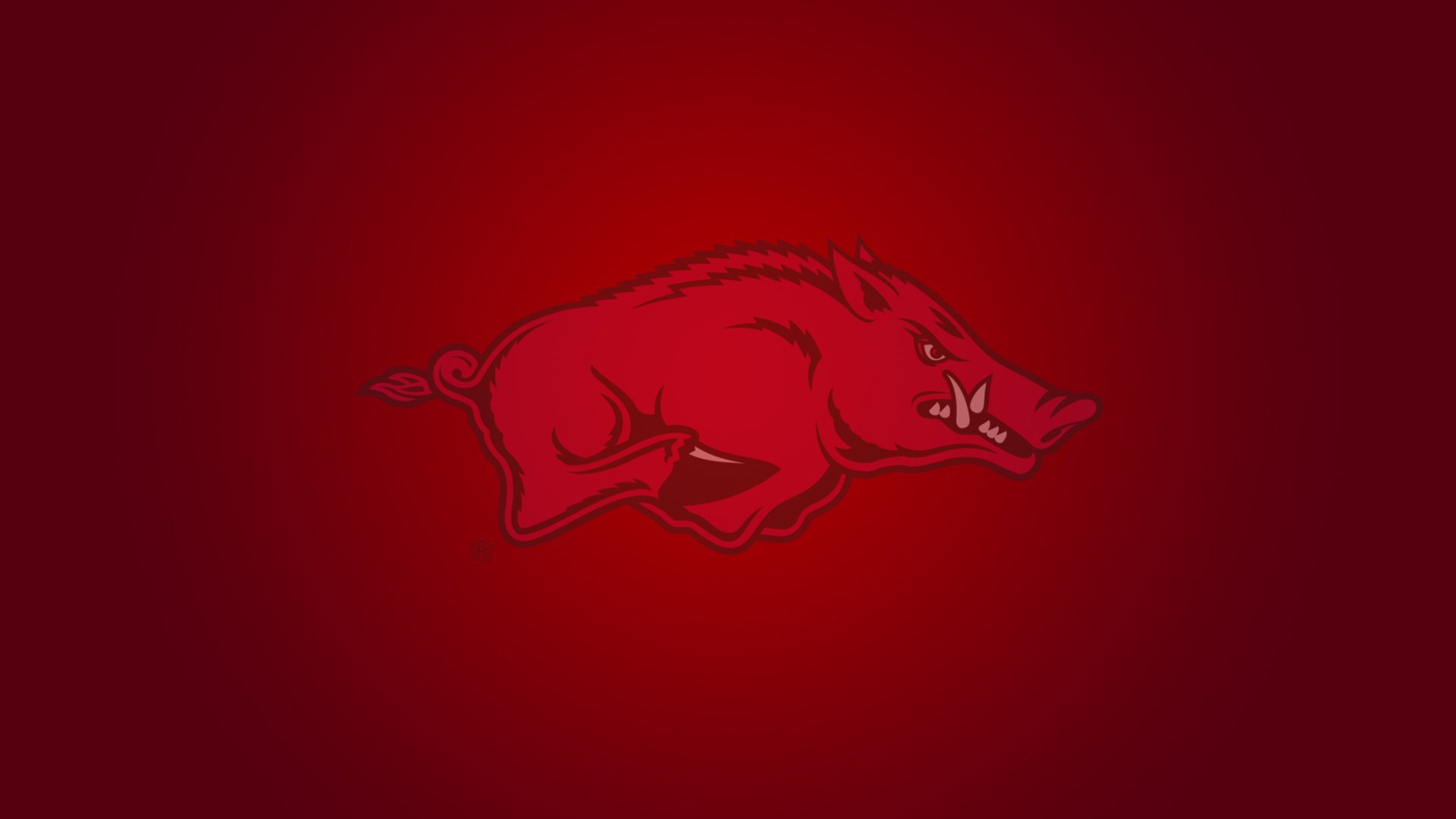 Arkansas Razorbacks College Football Wallpaper