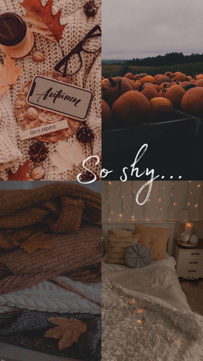 Autumn Collage Aesthetic Wallpaper Mood So Shy I Take You