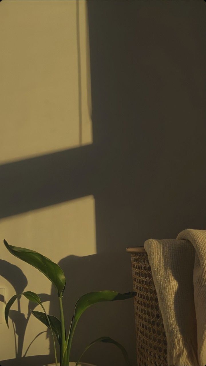 Simple And Minimalist Green Plant Wallpaper