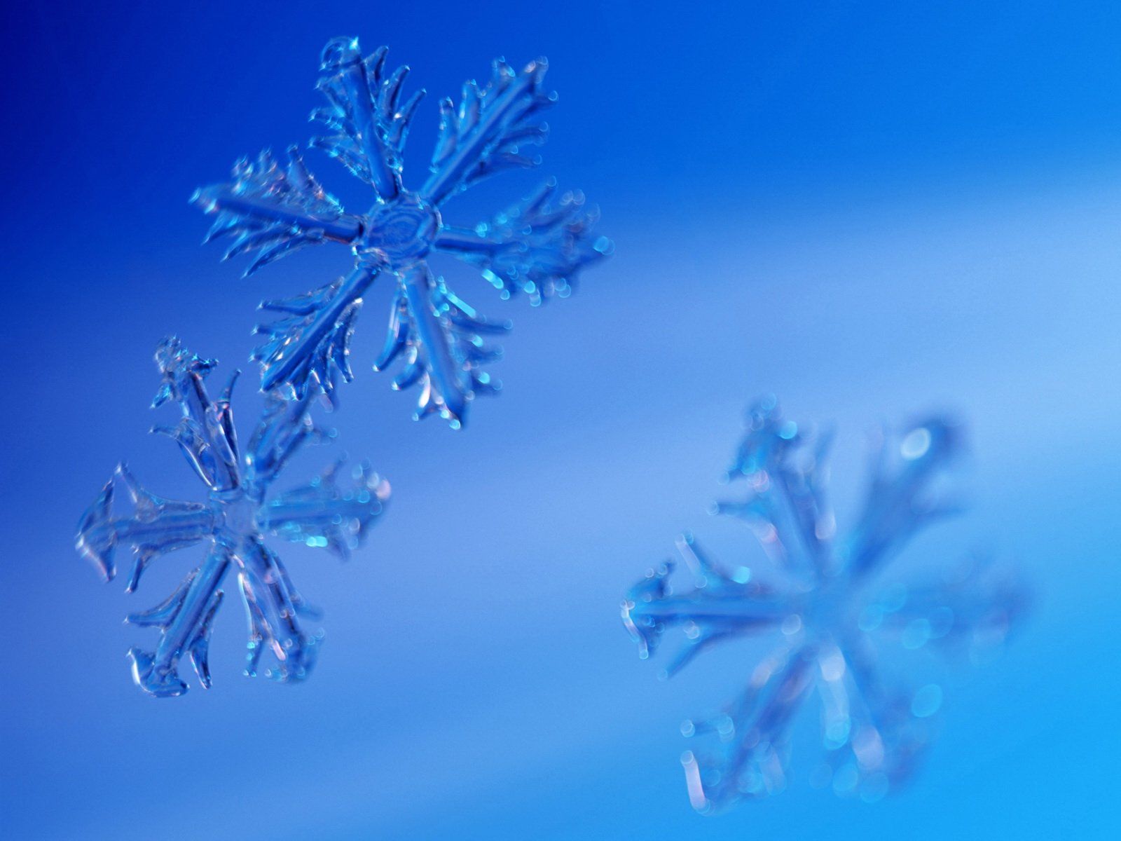 Snow Wallpaper