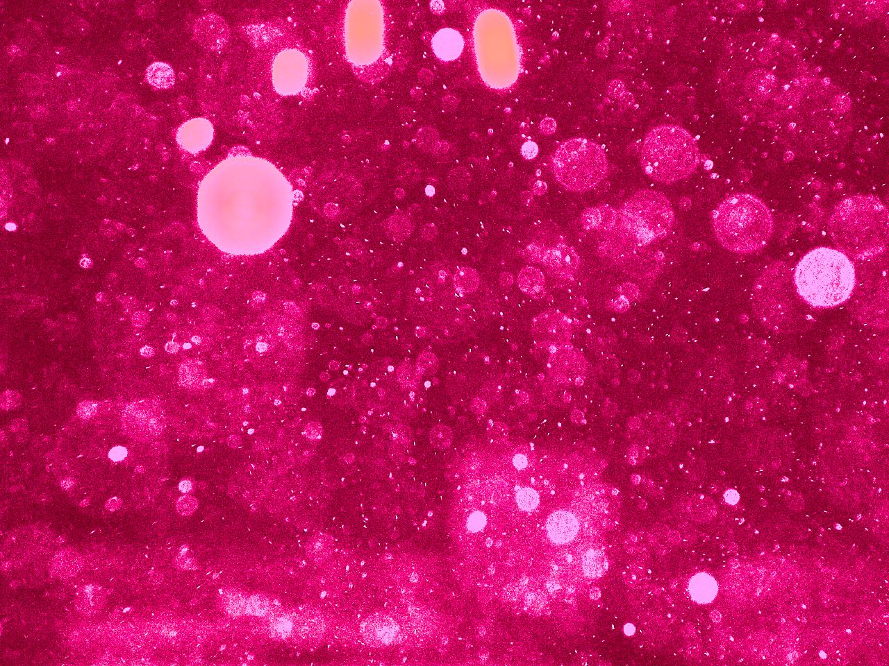 schnee pink glitter   a photo on Flickriver