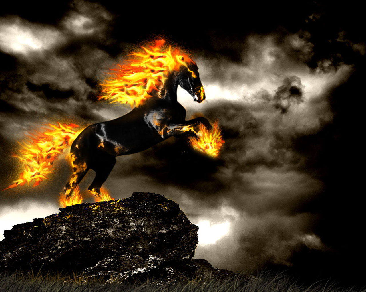 Horses Fire Wallpaper Full HD