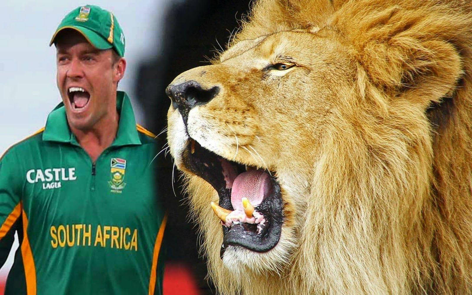 Ab De Villiers Rcb Wallpaper