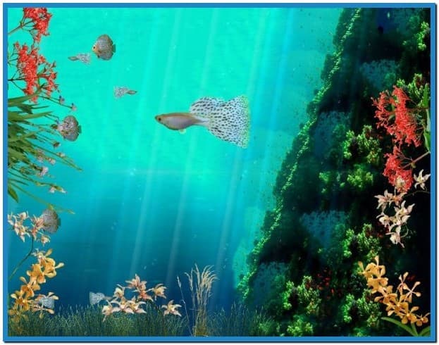 Coral Reef Aquarium 3d Screensaver