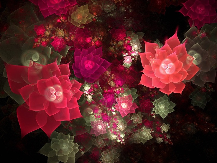 And Pink Fractal Roses Wallpaper Generative Mathematica