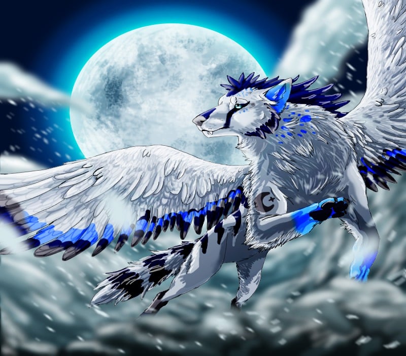Free Download Cool Winged Wolf Wallpapers 800x701 For Your